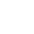 Icon17