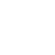 Icon19