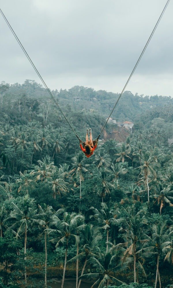 Beauty woman on swing, Bali nature, happy face, jungle